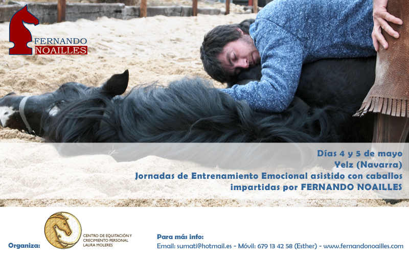 Jornadas de entrenamiento emocional impartidas por Fernando Noailles en Yelz